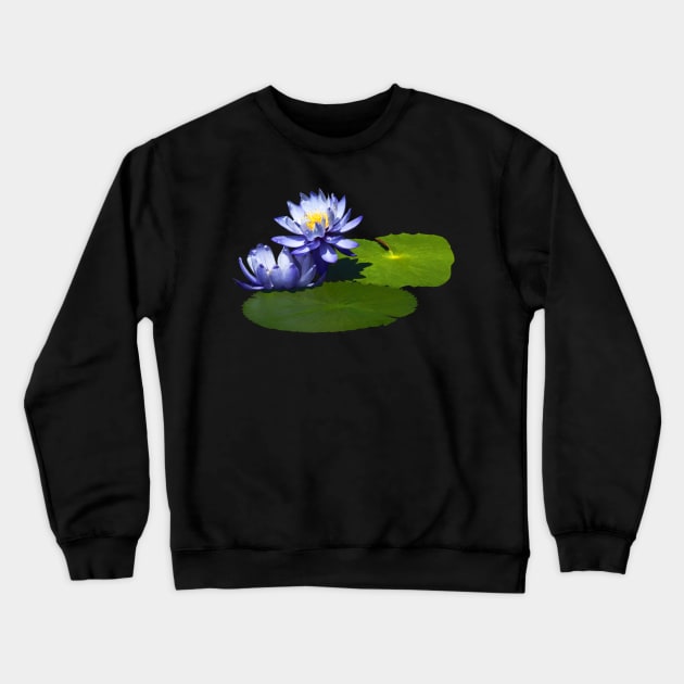 Water Lilies - Purple Water Lilies in Sunshine Crewneck Sweatshirt by SusanSavad